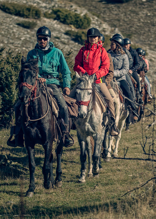 Saddle Sherpa HORSE AND TRAVEL 